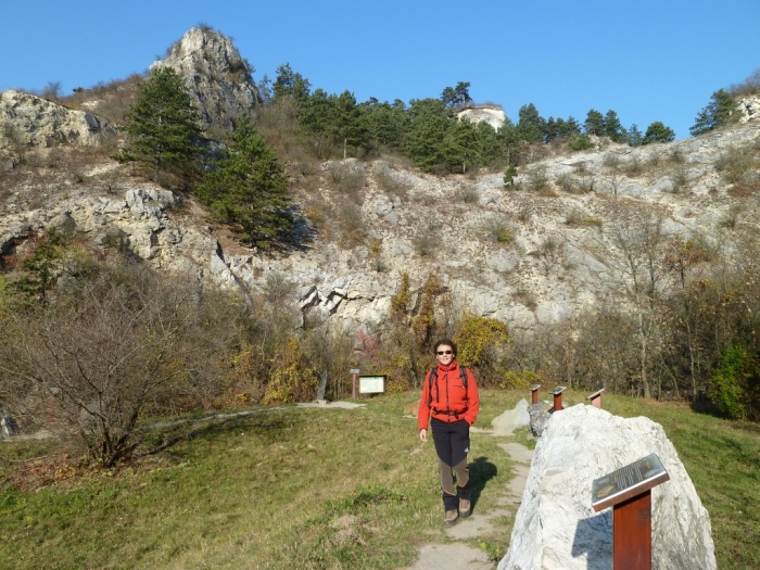 P1080651.JPG
