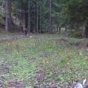 16_Baumtal & Mitterbergschneid