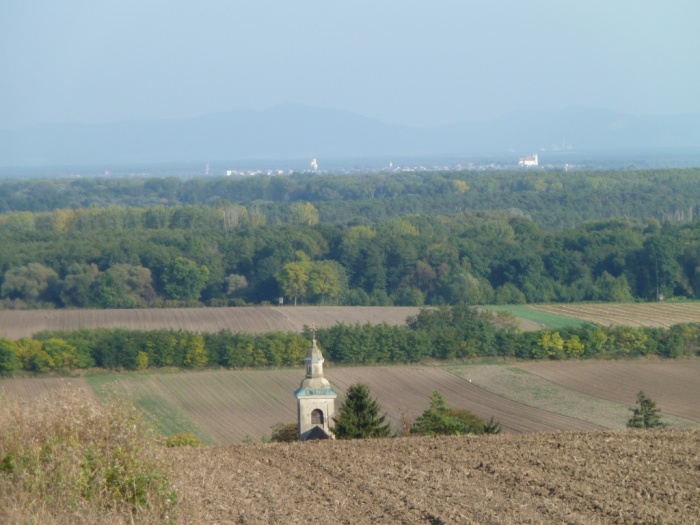 P1070645.JPG