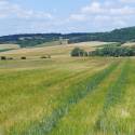 43_Göllersbach