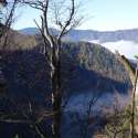 57_Oisberg