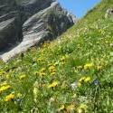 Großglockner Juli 2012