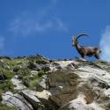 Großglockner Juli 2012