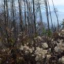 Wr. Hausberge - Herbst 2012